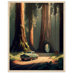 Redwood National Park wood-framed poster in The Pacific Wild five-print set