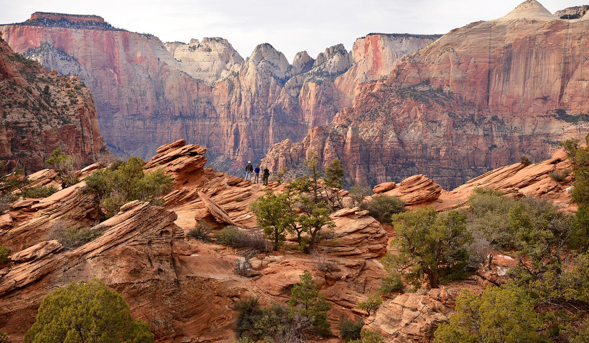 Hikers at Canyon Overlook above the sandstone cliffs of Zion National Park